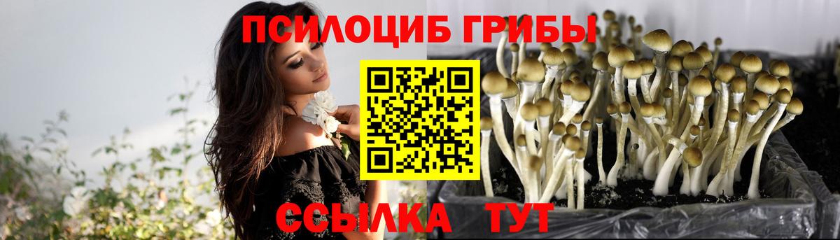 Галлюциногенные грибы прущие грибы  Вход с VPN  Калач-на-Дону 