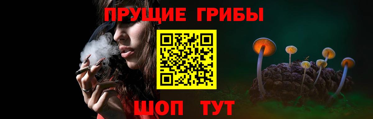 Псилоцибиновые грибы прущие грибы Калач-на-Дону